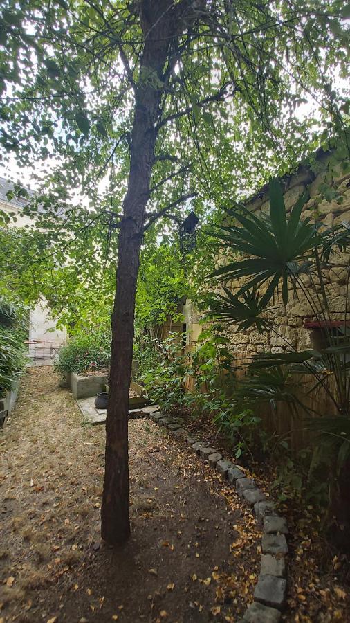 La Maison De Louise Chinon #Chateaux #Vignobles Exteriér fotografie
